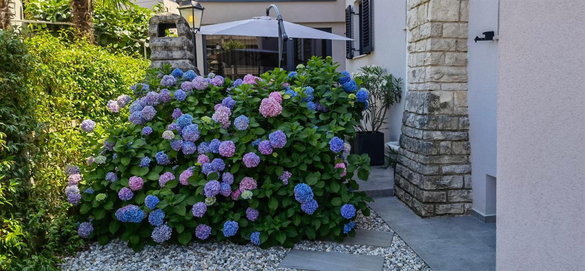 Stay In The Very Heart Of Porec - 50M To The Beach Exterior photo